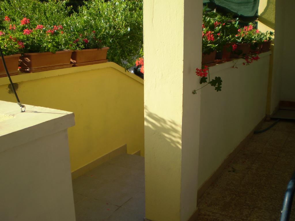 Apartments Kocijan Sukošan Kültér fotó